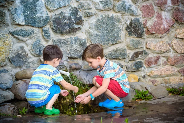 Dos Hermanos Chicos Beben Agua Fría Limpia Aire Libre Del — Foto de Stock