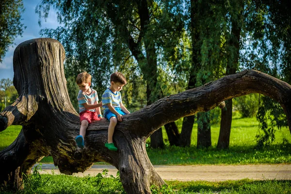 Zwei Jungen Sitzen Auf Einem Baumstamm Das Kind Geht Sommerpark — Stockfoto