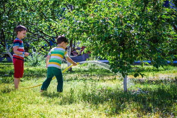 Niño Pequeño Adorable Niño Rubio Regando Las Plantas Hermoso Manzano — Foto de Stock