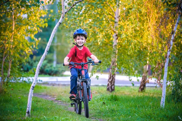 Happy Kid Boy Years Having Fun Autumn Forest Bicycle Beautiful — Stock Photo, Image