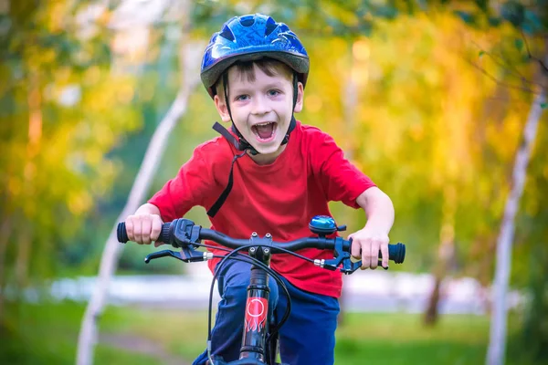 美しい秋の日に自転車で秋の森で楽しい 年間の幸せな子供の男の子 アクティブな子がスポーツを作るします 安全性 スポーツ レジャーは子供の概念 — ストック写真