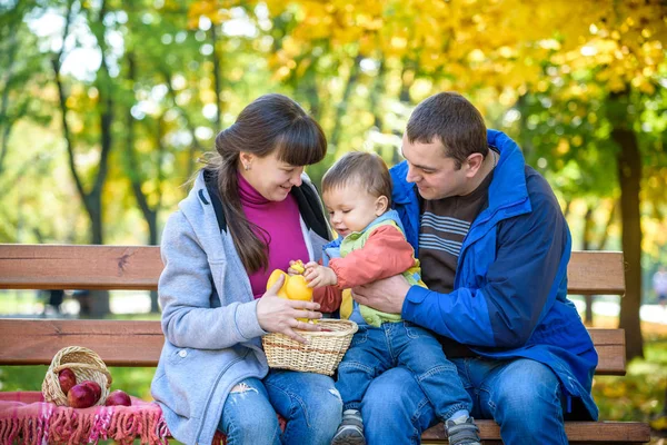 가족이 소풍을 즐기고 아버지 와아들은 바구니를 벤치에 있습니다 가족여가 — 스톡 사진