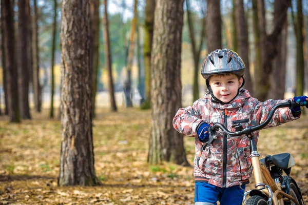 Glücklicher Kleiner Junge Von Oder Jahren Der Einem Schönen Herbsttag — Stockfoto