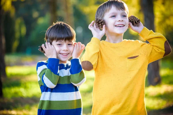 Dışarıda iki büyük kozalakla oynayan iki küçük şirin kardeş. Doğadaki çocuklar için bir oyun. Kardeş kardeşler en iyi arkadaşlardır. Çocuklarla dışarıda arkadaşça vakit geçirmek..