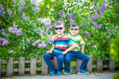 İki küçük kardeşin portresi, arka plandaki şehir ve park manzarasında günlük kıyafet ve güneş gözlüğü takan leylak çalılıklarında küçük çitlerde oturuyor. Mutlu çocukluk arkadaşlığı kavramı.