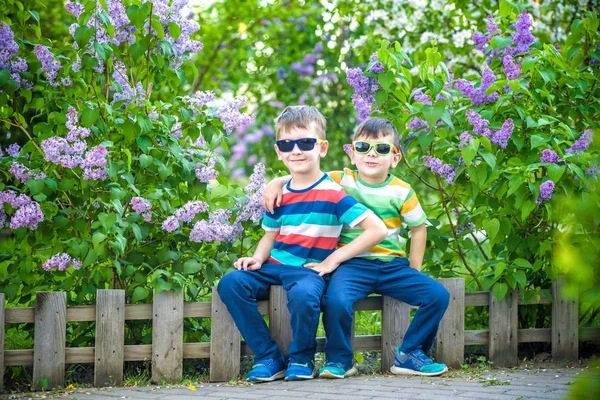 İki küçük kardeşin portresi, arka plandaki şehir ve park manzarasında günlük kıyafet ve güneş gözlüğü takan leylak çalılıklarında küçük çitlerde oturuyor. Mutlu çocukluk arkadaşlığı kavramı.