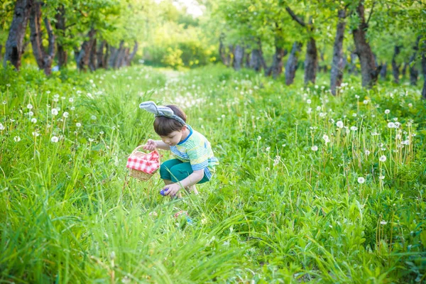 Ładny mały chłopiec dziecko z bunny uszy zabawy z tradycyjne Wielkanocne jaja polowanie — Zdjęcie stockowe