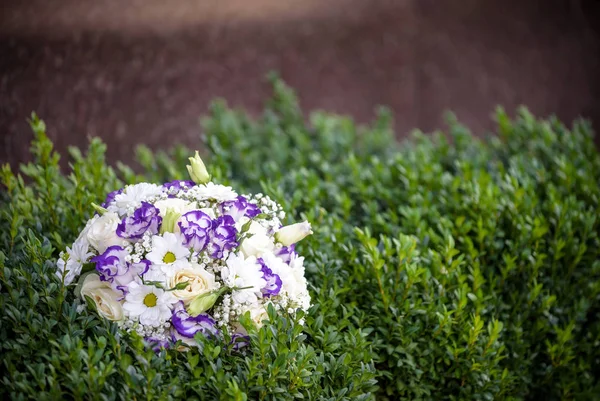 Bouquet di belle rose rosa rosso bianco insieme fiore . — Foto Stock