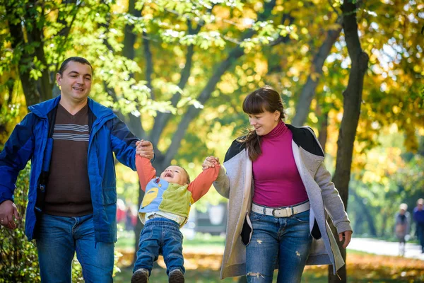 Bela família jovem em um passeio na floresta de outono no bordo yello — Fotografia de Stock