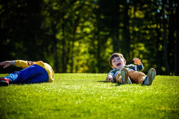 Two happy boys playing on fresh green grass meadow. Tumble and s — Stock Photo, Image