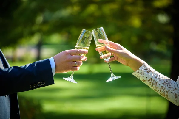 Наречений і наречений тримає весільні келихи шампанського — стокове фото