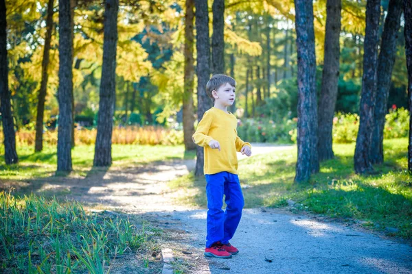 Niño feliz jugando con el avión de juguete contra el fondo azul del cielo de verano. Chico lanzar avión de espuma en el bosque o parque. Mejor concepto de infancia — Foto de Stock