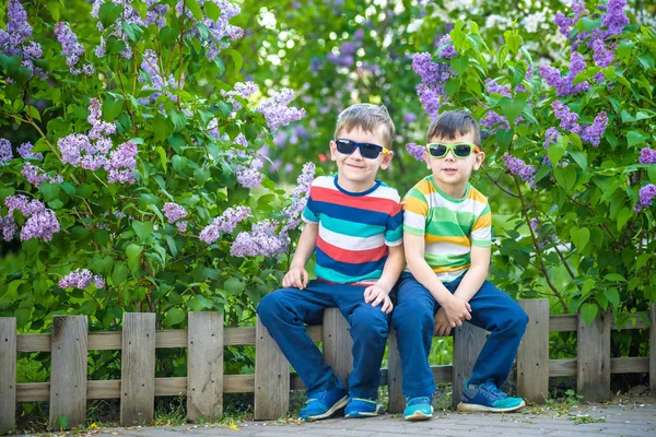 캐주얼 스타일의 옷을 입고 라일락의 덤불에 작은 울타리에 앉아 두 어린 형제의 초상화 — 스톡 사진
