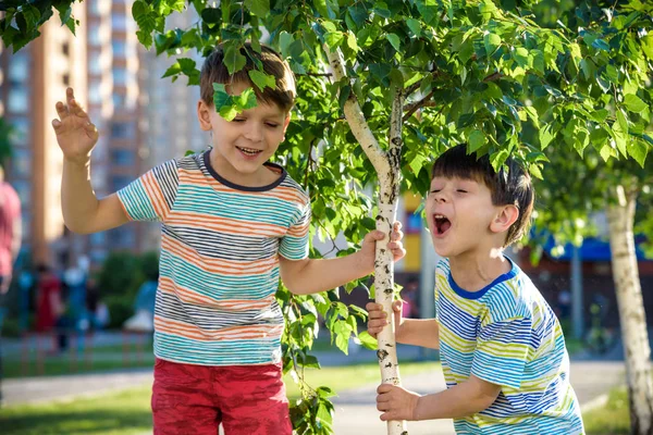 Dos chicos juegan cerca de los brotes de abedul niños tiene alergia al árbol en flor. Concepto sanitario —  Fotos de Stock