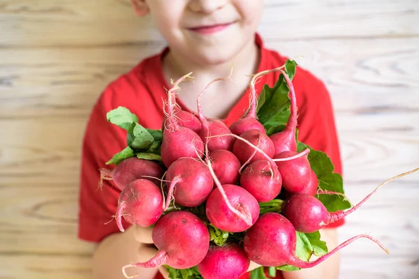 Çocukların elinde taze organik turp. Sağlıklı yiyecekler. Organik sebzeler — Stok fotoğraf