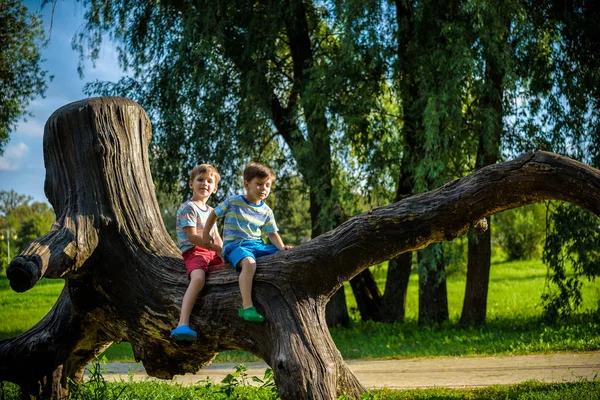 Dos chicos están sentados en un tronco. El niño camina en el par de verano — Foto de Stock