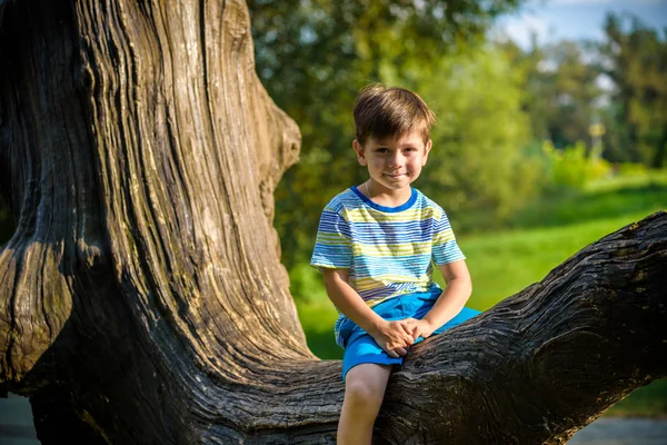 Мальчик сидит на бревне. Ребенок гуляет по летним зарослям — стоковое фото