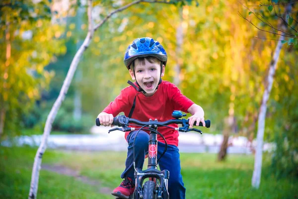 Happy kid boy of 6 years having fun in autumn forest with a bicycle on beautiful fall day. Active child making sports. Safety, sports, leisure with kids concept — Stock Photo, Image