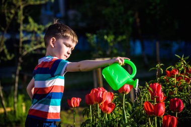 Lale güzel çiçek yatakta üzerinde yürüyen küçük çocuk 