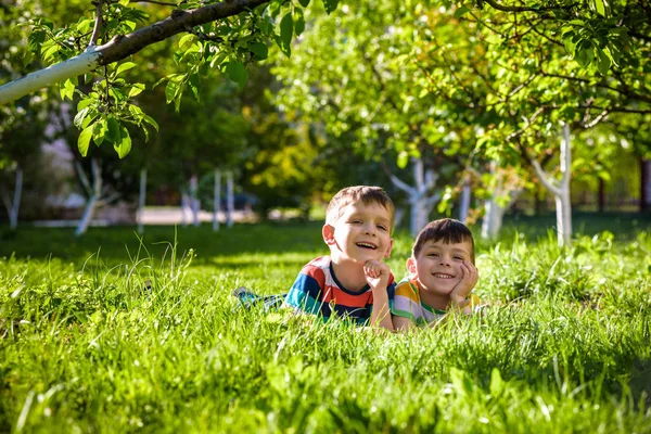 Niños felices divirtiéndose al aire libre. Niños jugando en el parque de verano. Pequeño niño y su hermano acostado en verde campo de vacaciones de hierba fresca . — Foto de Stock