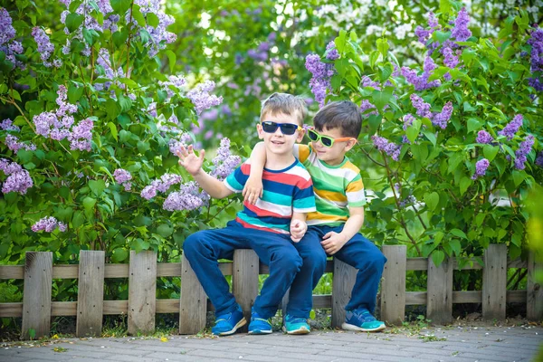 Retrato de dos hermanitos sentados en una pequeña cerca en arbustos — Foto de Stock