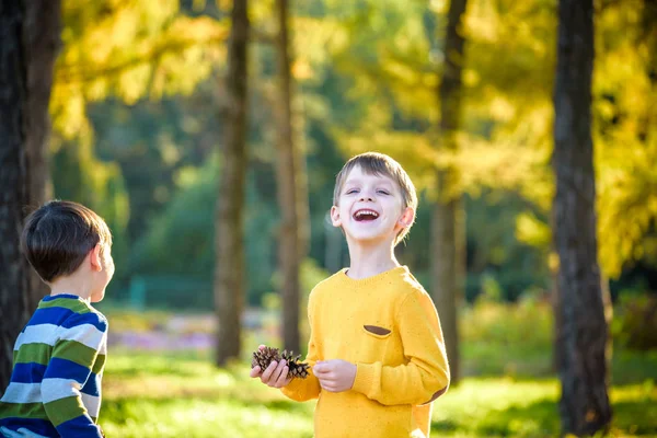 Два милий хлопчик-сестра грає разом з двома великими сосновими шишками на відкритому повітрі . — стокове фото
