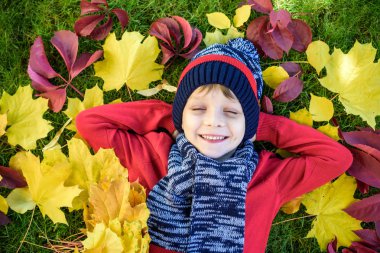 Küçük çocuk sonbahar yapraklarında kırmızı kazak içinde yatıyor. Mutlu çocuk sıcak bir günde sonbahar parkında eğleniyor. Sevimli okul çocuğu gülümsüyor ve gülüyor..