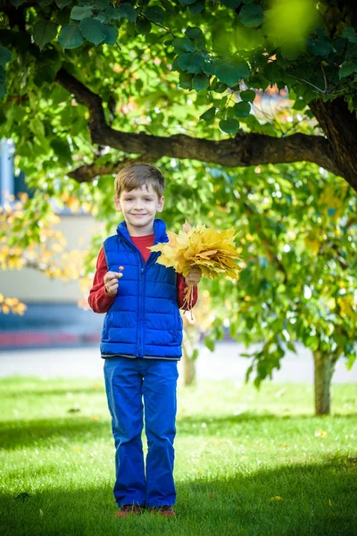 Милий маленький хлопчик, який грає восени на природі. Хлопчик тримає в парку купу кленового листя. Осінь, дитинство і концепція людей . — стокове фото