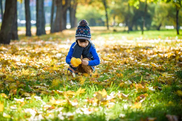 Goldener Herbsthintergrund mit den Herbstblättern und einem kleinen Jungen, der im herbstlichen Laub spielt. glückliches Kind genießt warmen, sonnigen Herbsttag. Bestes Konzept für Banner und andere Medienprojekte — Stockfoto