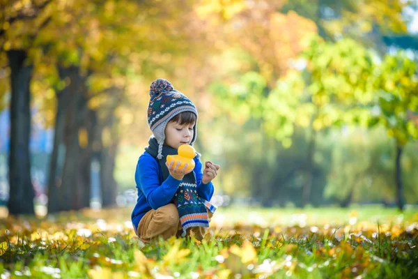 Goldener Herbsthintergrund mit den Herbstblättern und dem kleinen Kleinkind — Stockfoto