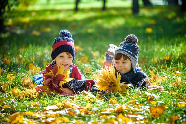 Прекрасний хлопчик, маленька дитина лежить з великою кількістю жовтого осіннього листя в парку. Хлопчик розважається у сонячний теплий жовтневий день. Сезон, діти, концепція способу життя — стокове фото