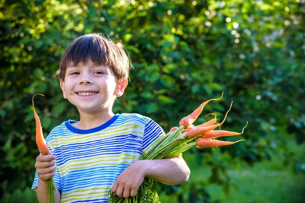 Маленький хлопчик має моркву в руці, дивиться пальцем на — стокове фото