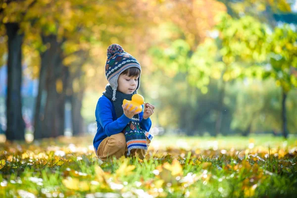 Fundo de outono dourado com as folhas de outono e pequena criança — Fotografia de Stock