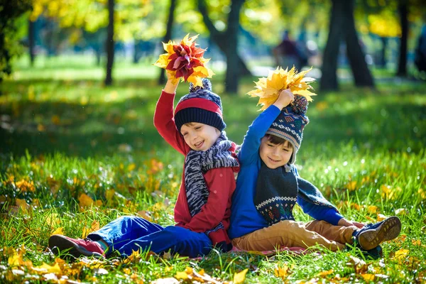 Happy children playing in beautiful autumn park on warm sunny fa