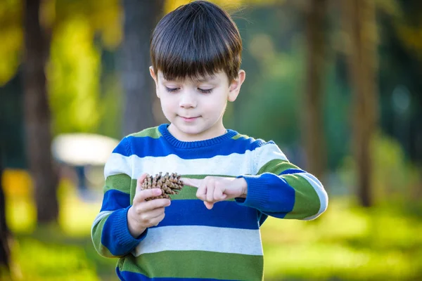 Niño blanco jugando en un bosque de pinos con conos de pino. Conos de coníferas en la hierba sirven como juguetes para el niño — Foto de Stock