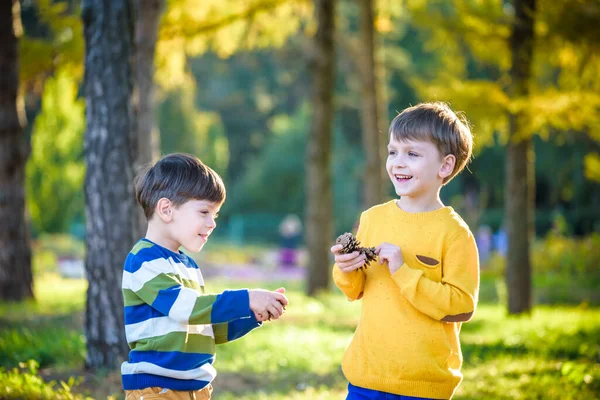 Zwei Süße Geschwister Kleiner Junge Spielen Zusammen Mit Zwei Großen — Stockfoto