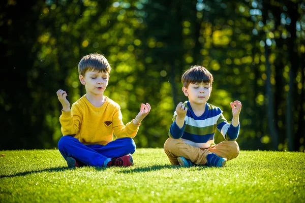 İki beyaz erkek kardeş taze yeşil çimen tarlasında oturuyor ve günlük giysiler içinde meditasyon yapıyor, mutlu çocuklar dışarıda huzurlu bir yaz haftasonunun tadını çıkarıyor. Arkadaşlık rahatlama konsepti.