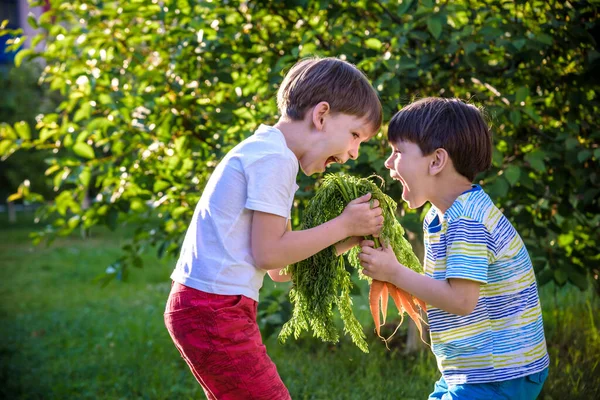 Kinder Mit Einer Möhre Garten Zwei Jungen Mit Gemüse Bauernhof — Stockfoto