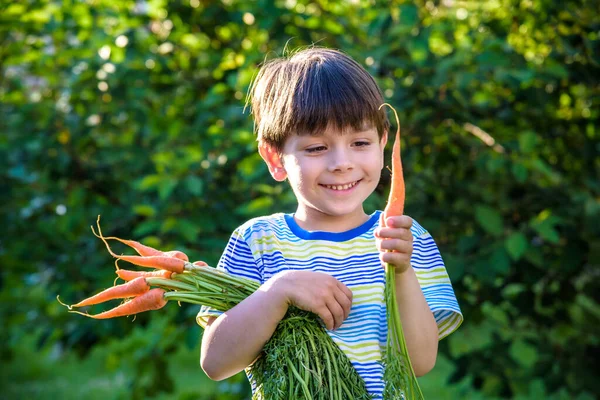 Маленький Хлопчик Має Руці Моркву Дивиться Пальцем Моркву Концепцію Здорової — стокове фото