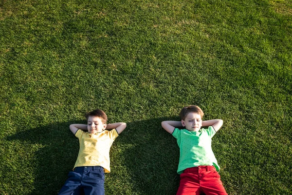 Parkta eğlenen iki kardeşin fotoğrafı, yeşil çimenlere uzanan iki neşeli çocuk, dışarıda oynayan küçük çocuk, en iyi arkadaşlar, mutlu aile, aşk ve mutluluk konsepti..