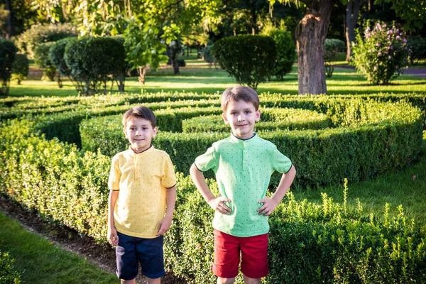 Dos Hermanos Jugando Juntos Hermoso Parque Verde Familia Feliz Dos — Foto de Stock