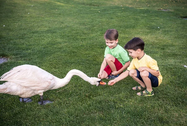 Cuidado Seguridad Del Concepto Animales Dos Niños Alimentándose Jugando Con — Foto de Stock