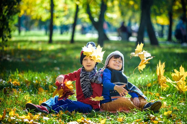 Crianças Felizes Brincando Belo Parque Outono Dia Ensolarado Quente Outono — Fotografia de Stock