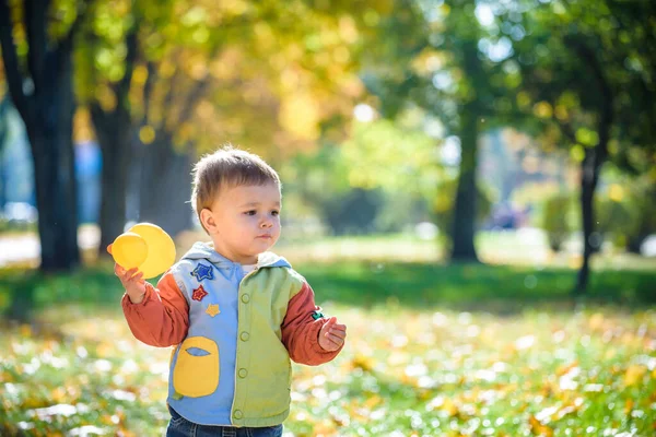 Emotional Portrait Happy Cheerful Little Boy Laughing Yellow Flying Maple — Stock Photo, Image