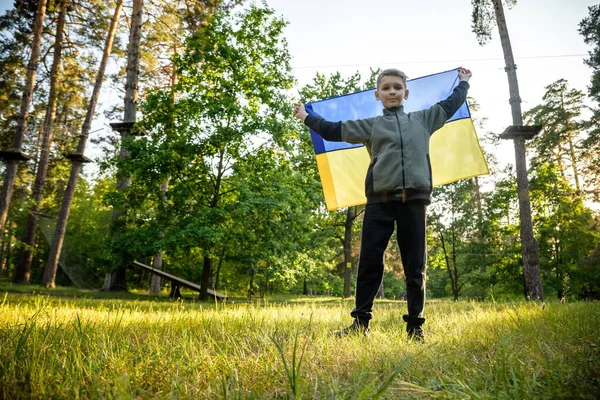 Ukrayna için dua et. Yaz parkını yöneten Ukrayna bayrağı taşıyan bir çocuk. Ulusal bayrak sallayan küçük çocuk barış için dua ediyor. Bağımsızlık Günü 'nü kutlayan mutlu çocuk.