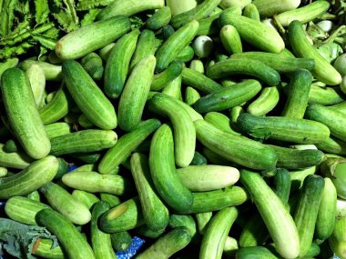 Taze salatalık taze Market rafındaki yığını