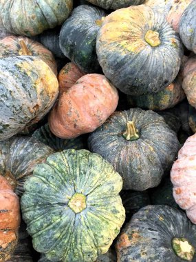 Taze kabak taze Market rafındaki yığını