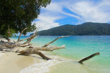 Ravi Adası trhat yakındaki L beyaz kum plaj (Had Sai Kaw)