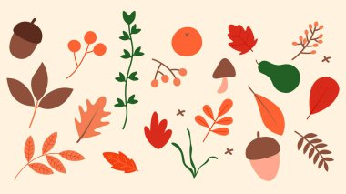 Güzel el çizimi sonbahar ikonu seti. Yapraklar, meşe palamudu, kürek ve meşe yapraklı renkli yapraklar. Vektör illüstrasyonu