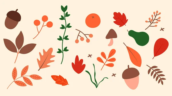 Güzel el çizimi sonbahar ikonu seti. Yapraklar, meşe palamudu, kürek ve meşe yapraklı renkli yapraklar. Vektör illüstrasyonu